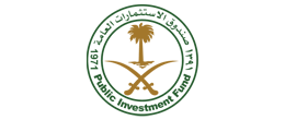 Public Investment Fund